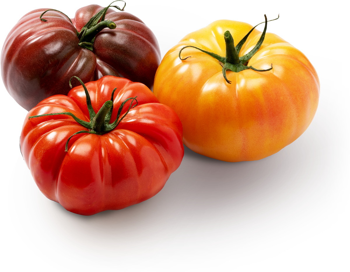 Ripe heirloom tomatoes